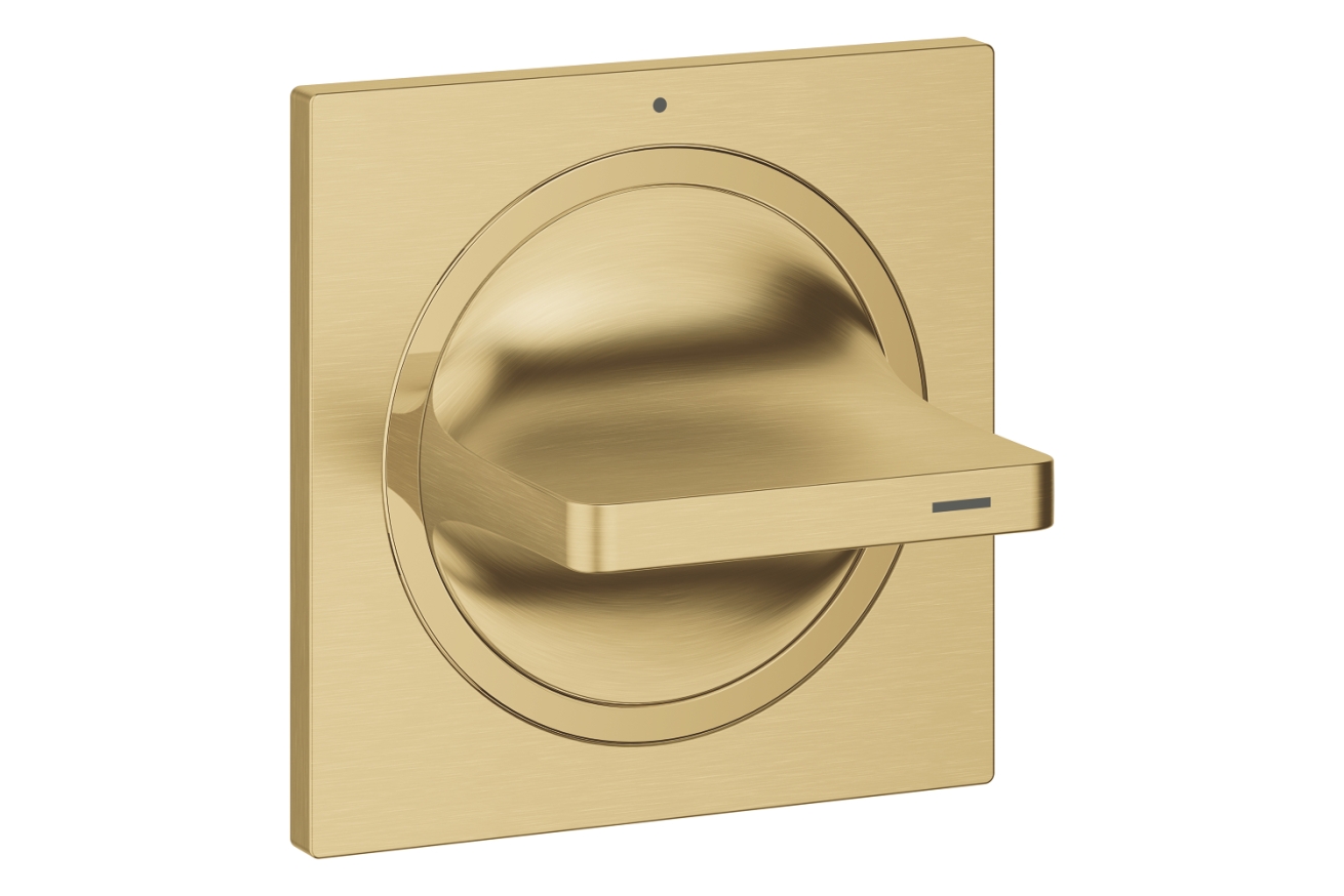 Внешняя часть вентиля GROHE Allure, холодный рассвет матовый (19334GN1)