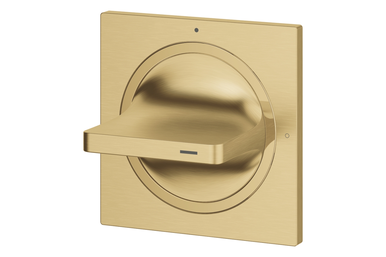 Внешняя часть вентиля GROHE Allure, холодный рассвет матовый (19334GN1)