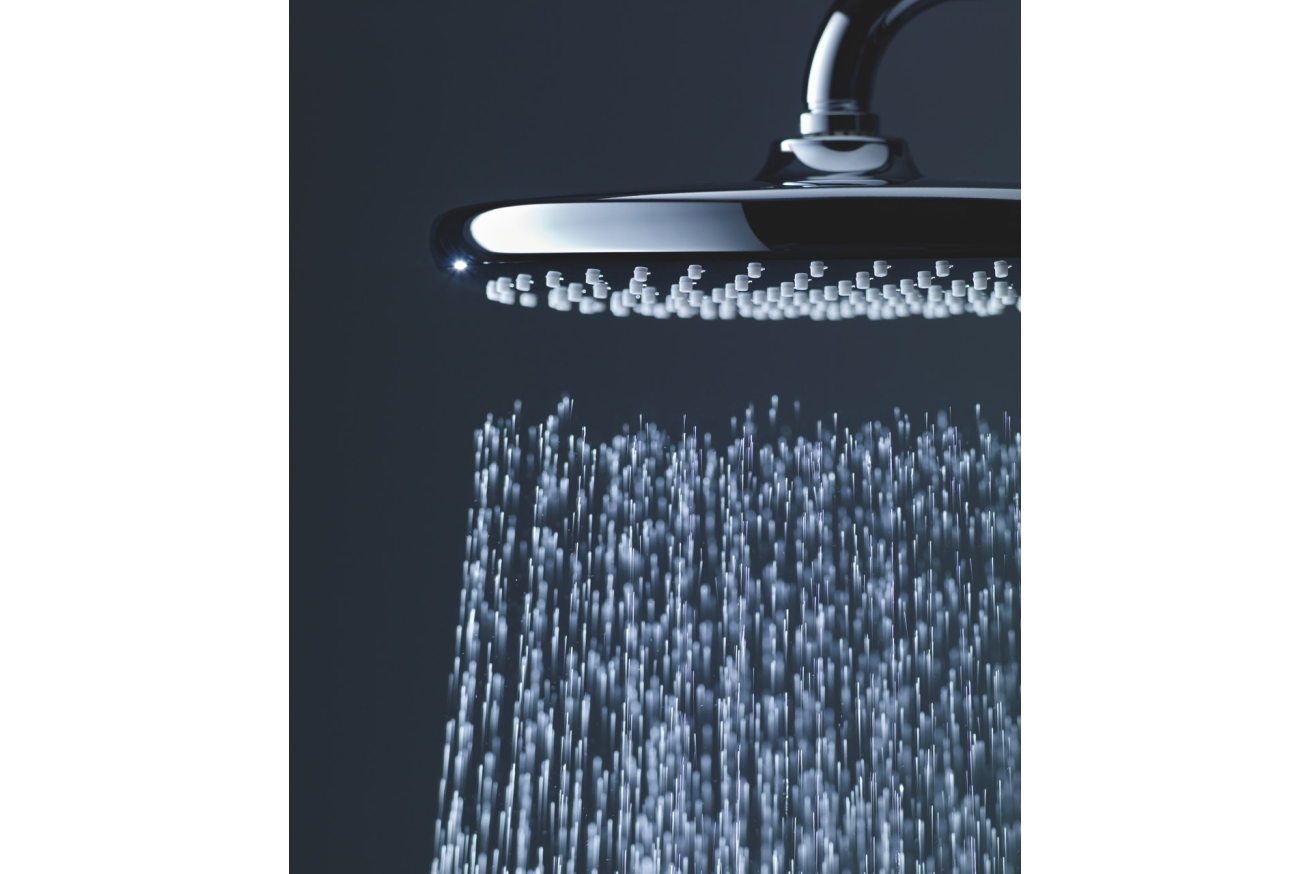 Верхний душ GROHE Tempesta 250, 9,5 л/мин, 1 режим, хром (26666000)
