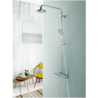Ручной душ GROHE Euphoria 110 Duo, 2 режима, хром (27220000)