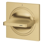Внешняя часть вентиля GROHE Allure, холодный рассвет матовый (19334GN1)