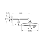 Верхний душ GROHE Tempesta 250, 9,5 л/мин, 1 режим, 380 мм, черный матовый (266682430)