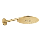 Верхний душ GROHE Rainshower SmartActive 310, 2 режима, 430 мм, холодный рассвет матовый (26475GN0)