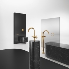 Панель смыва для унитаза GROHE Nova Cosmopolitan S для вертикального монтажа, холодный рассвет глянец (37601GL0)