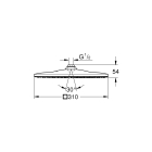 Верхний душ GROHE Rainshower 310 Mono, 1 режим, белая луна (26567LS0)