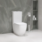Унитаз-компакт с бачком и сиденьем микролифт GROHE Clova, альпин-белый (39909000)