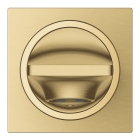 Излив для ванны GROHE Allure, холодный рассвет матовый (13264GN1)