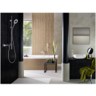 Ручной душ GROHE Rainshower Icon, 2 режима, хром (27276000)