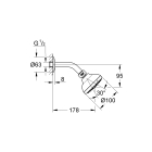 Верхний душ GROHE New Tempesta 100 III, 3 режима, хром (26088001)