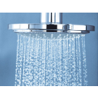 Верхний душ GROHE Euphoria Cosmopolitan, 9,5 л/мин, 1 режим, хром (28233000)